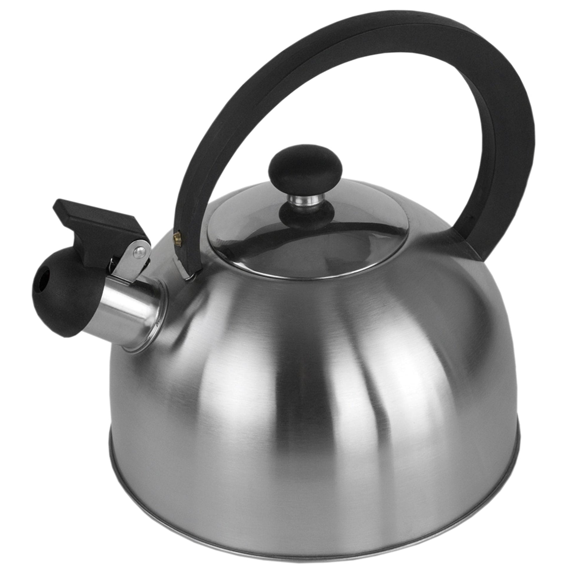 Basics Stainless Steel Tea Kettle, 2.4-Quart, Teal