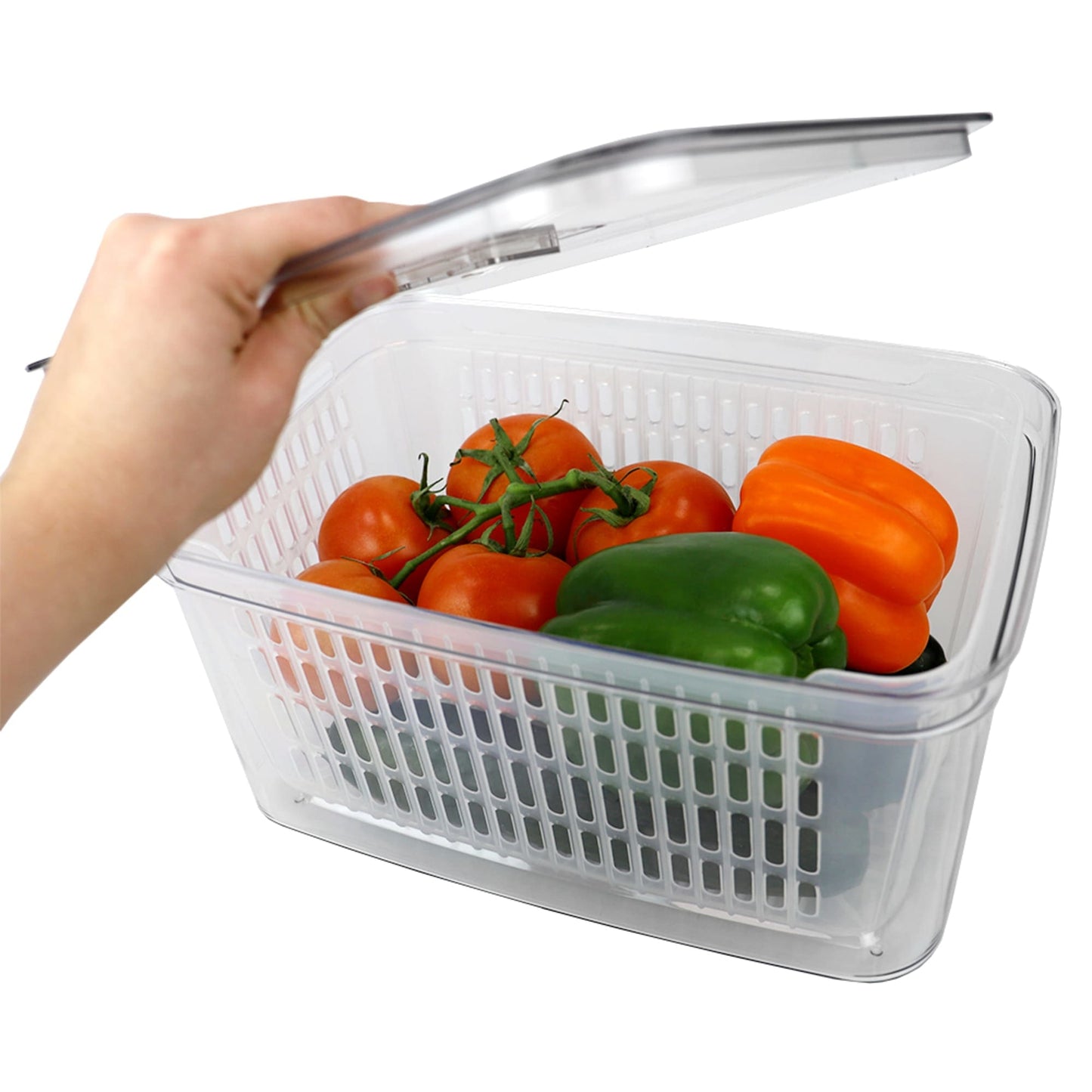 Keep Fresh Large Plastic Vegetable keeper, Clear