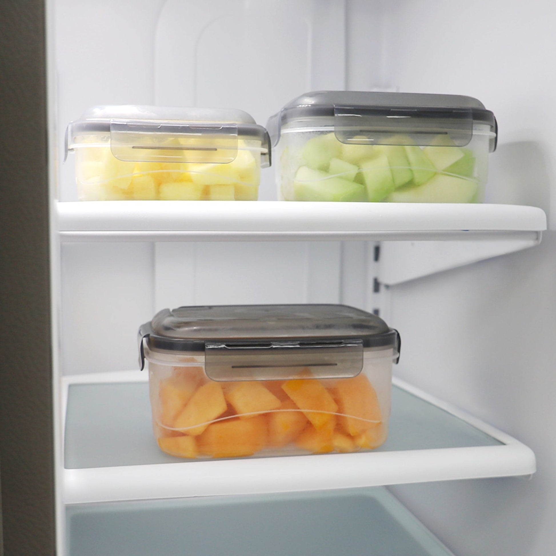 FOOD STORAGE – Home Basics