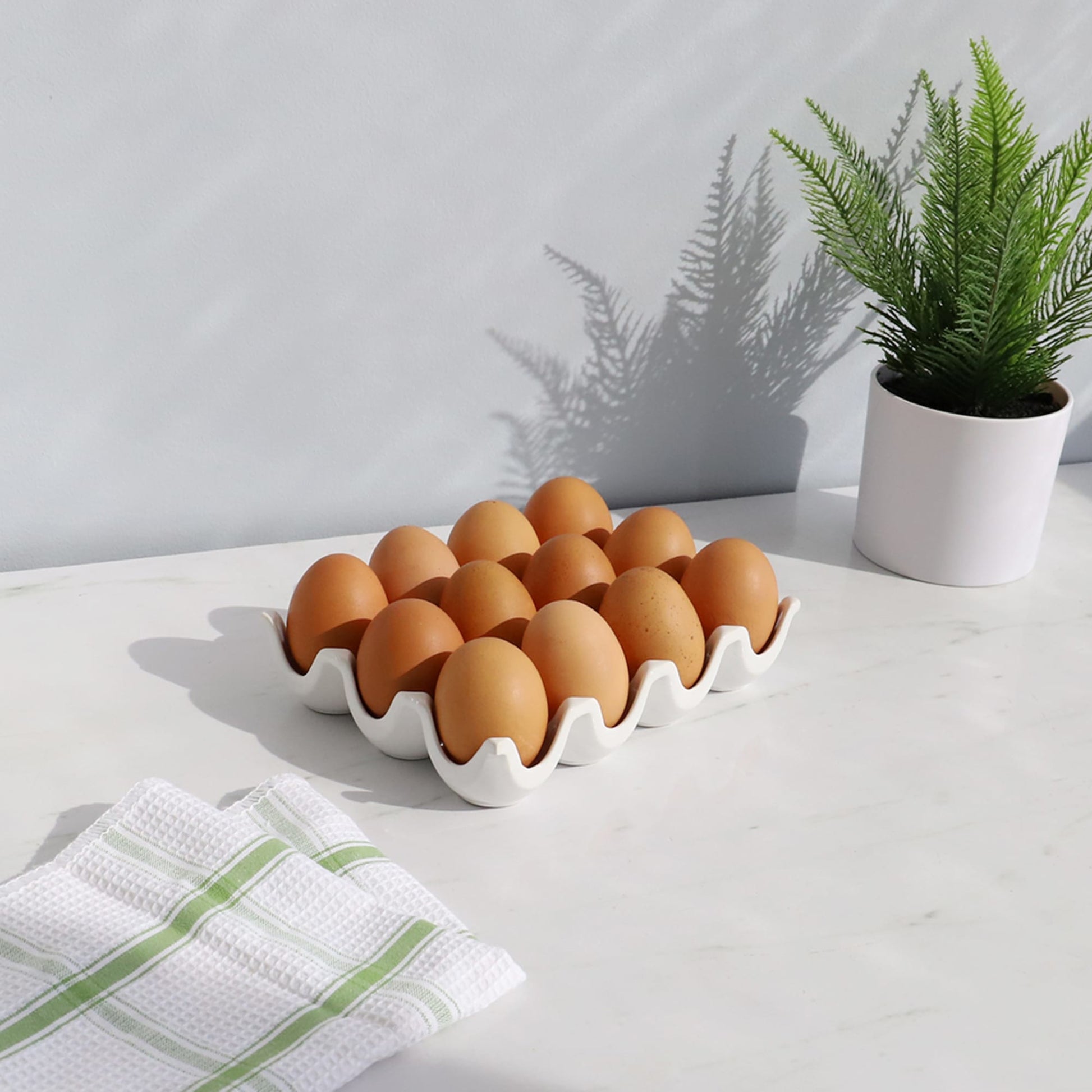 Egg Basket, Collapsible Mini Egg Storage for Fresh Eggs - Can