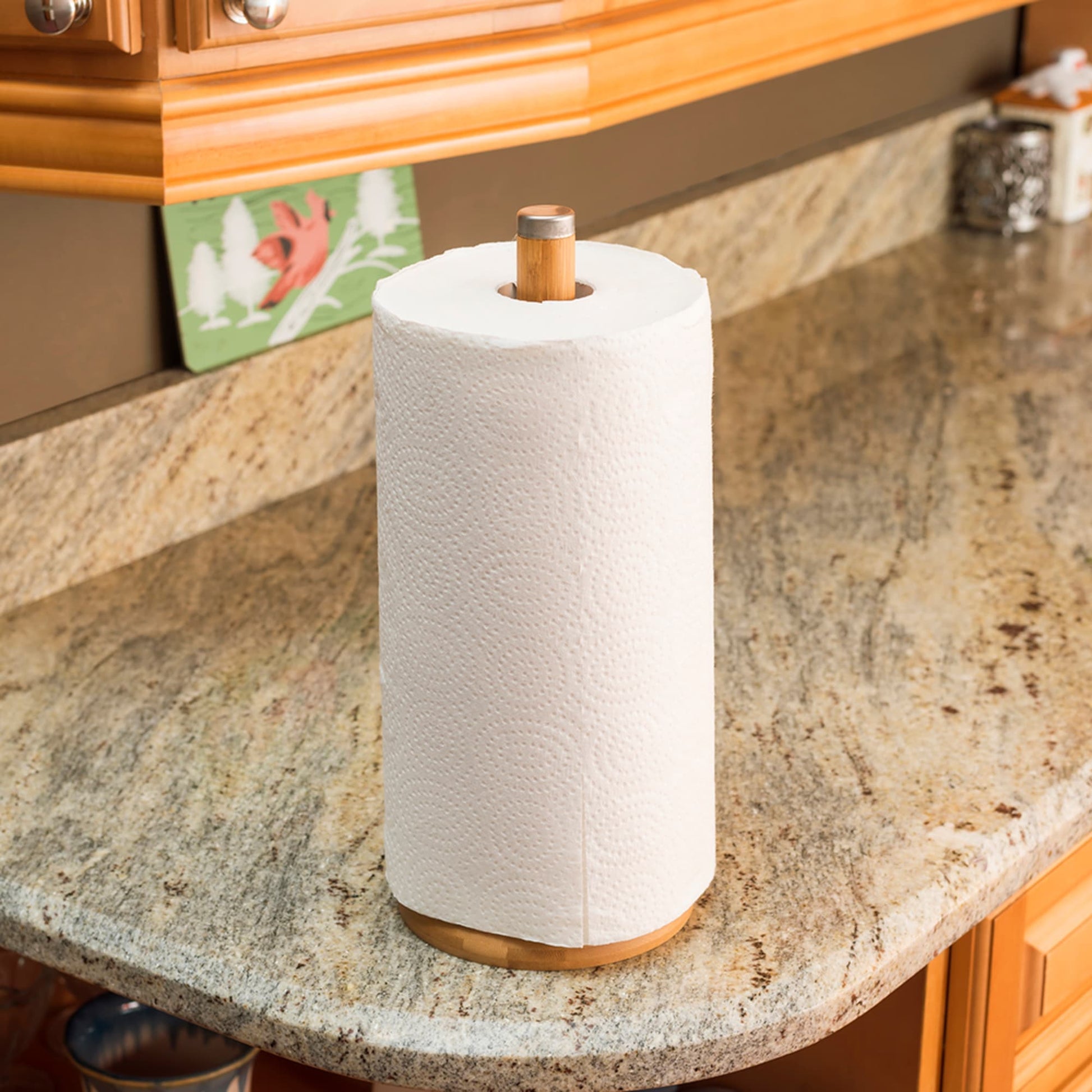Home Basics Wall-Mounted Paper Towel Holder 