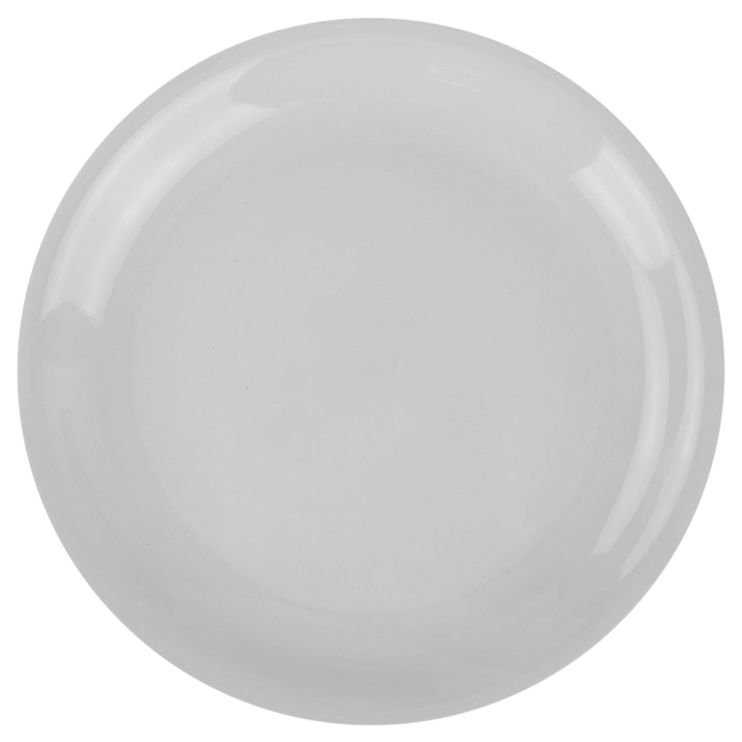 10.5" Ceramic Dinner Plate, White