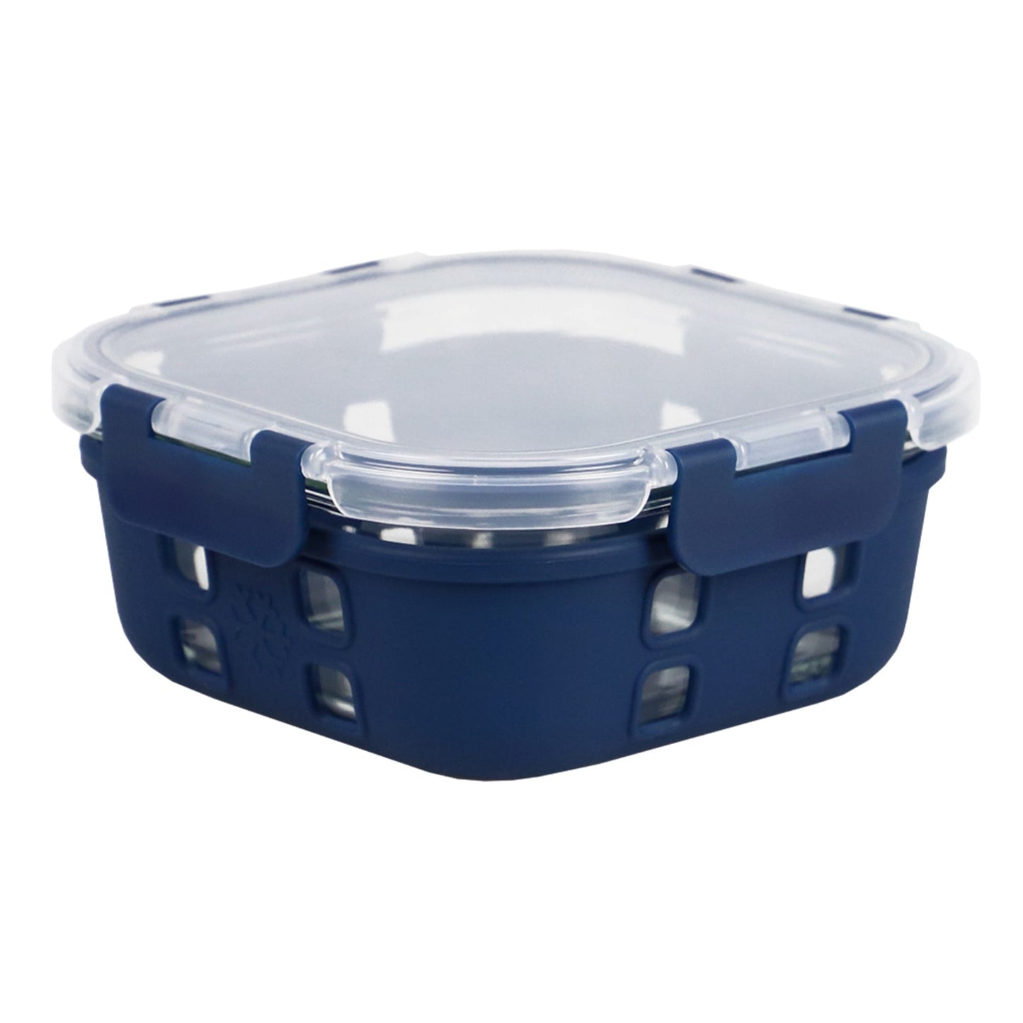 Michael Graves Design Square 27 Ounce High Borosilicate Glass Food Storage Container with Plastic Lid, Indigo