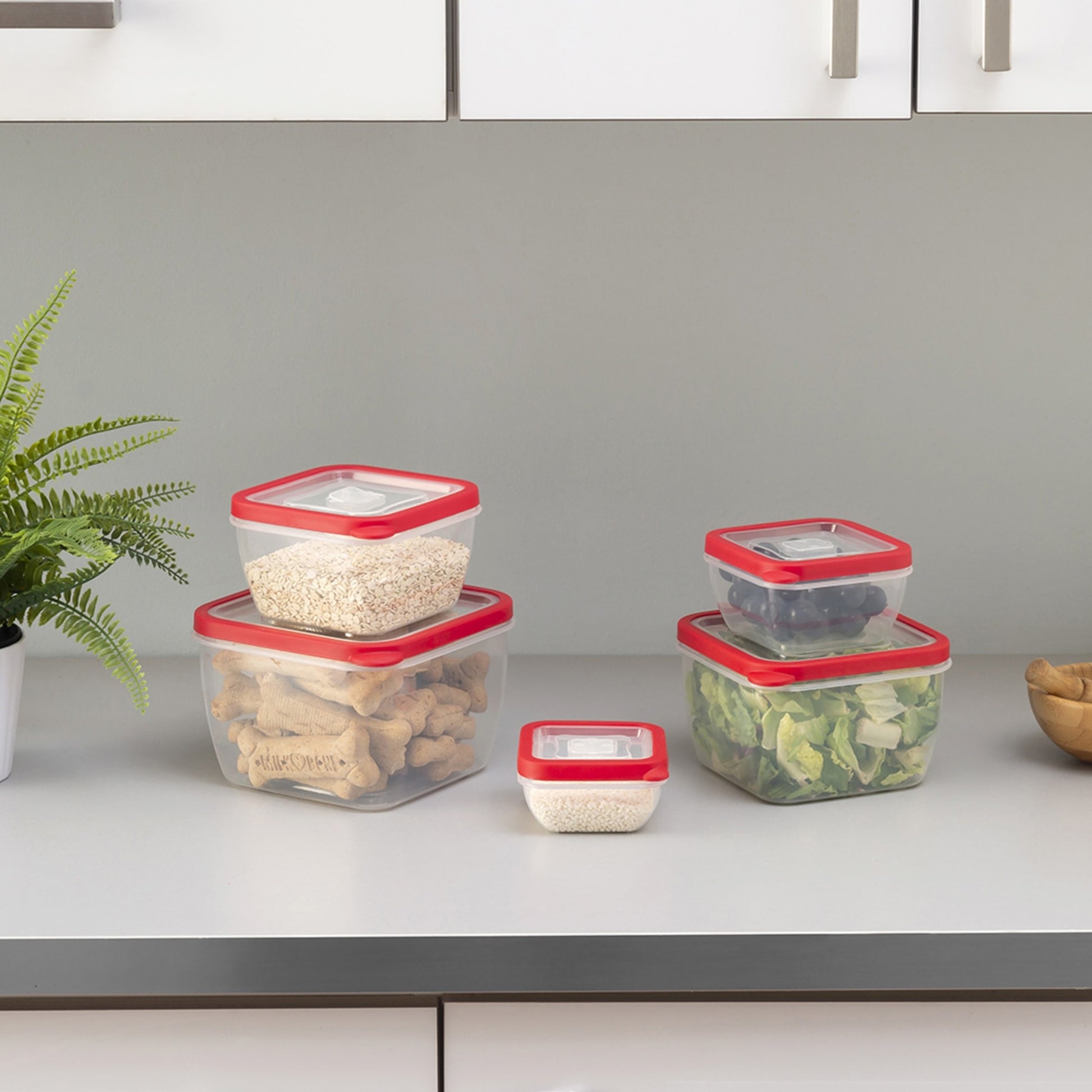 Food Storage Containers Kitchen Storage Box Jars Ducts Sealed Cans Bulk  Organize