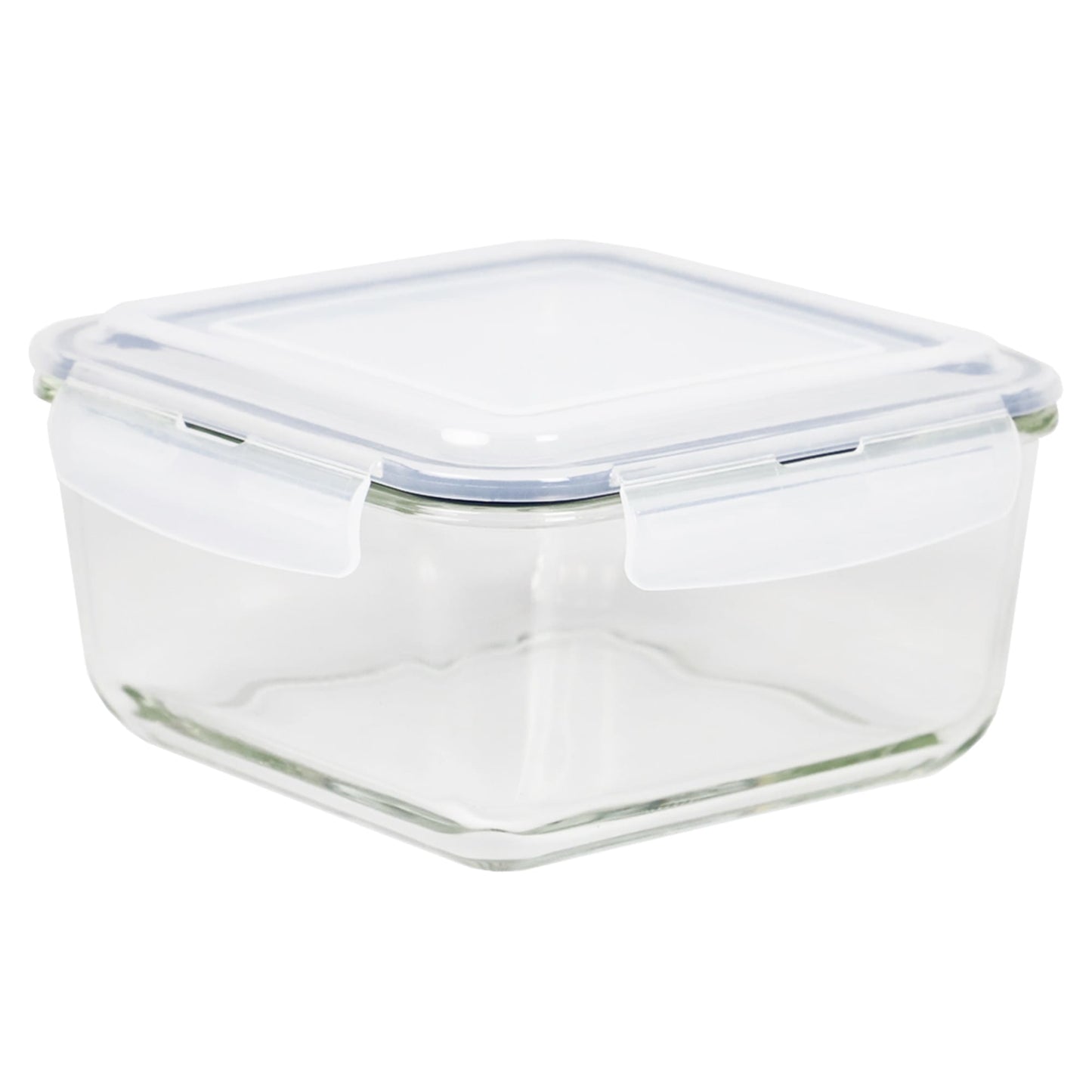 Michael Graves Design 74 Ounce High Borosilicate Glass Square Food Storage Container with Indigo Rubber Seal