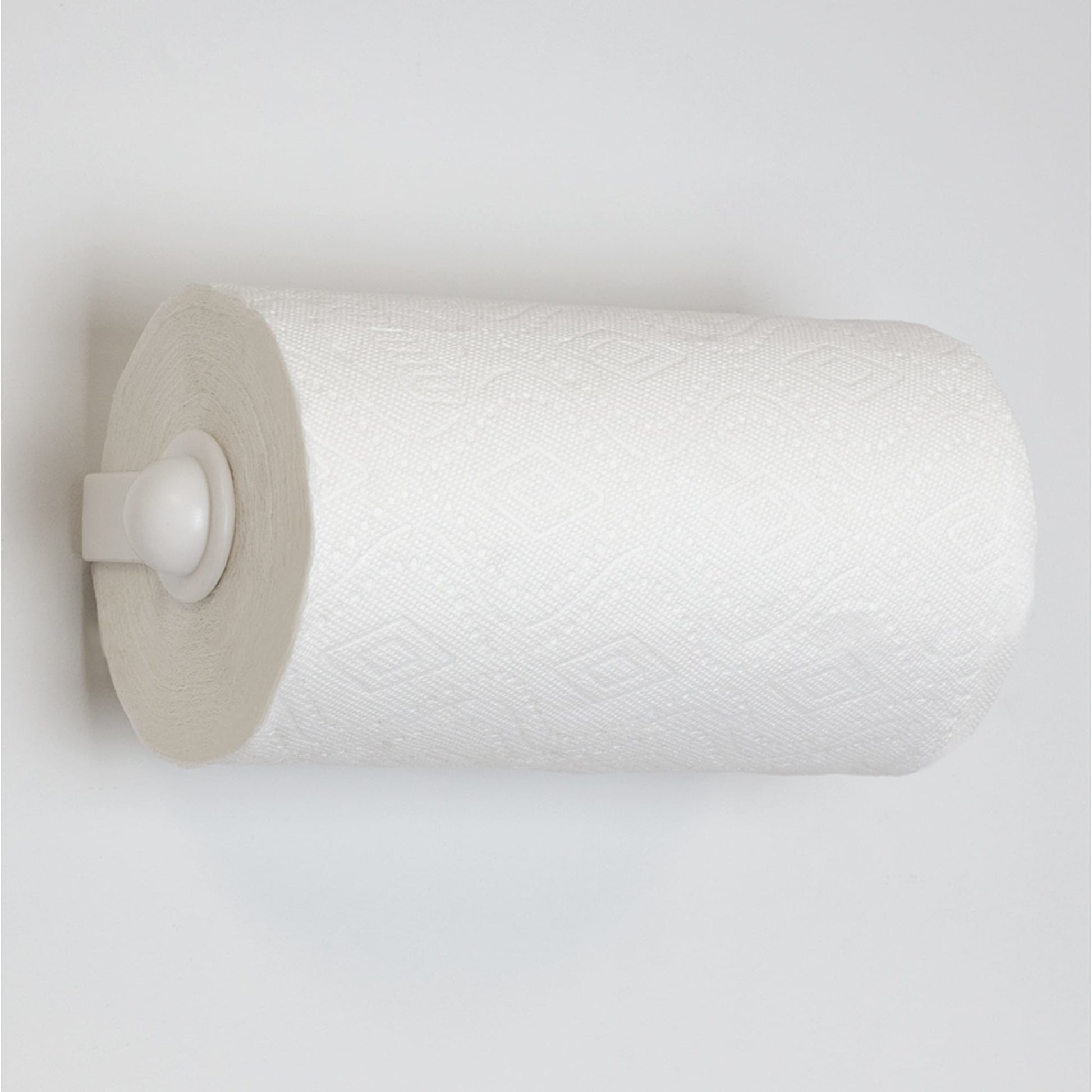 Rebrilliant Plastic Wall / Under Cabinet Mounted Paper Towel Holder
