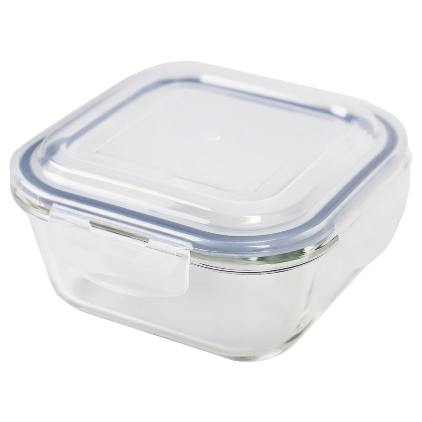 Michael Graves Design Square 13 Ounce High Borosilicate Glass Food Storage  Container with Plastic Lid, Indigo, FOOD PREP